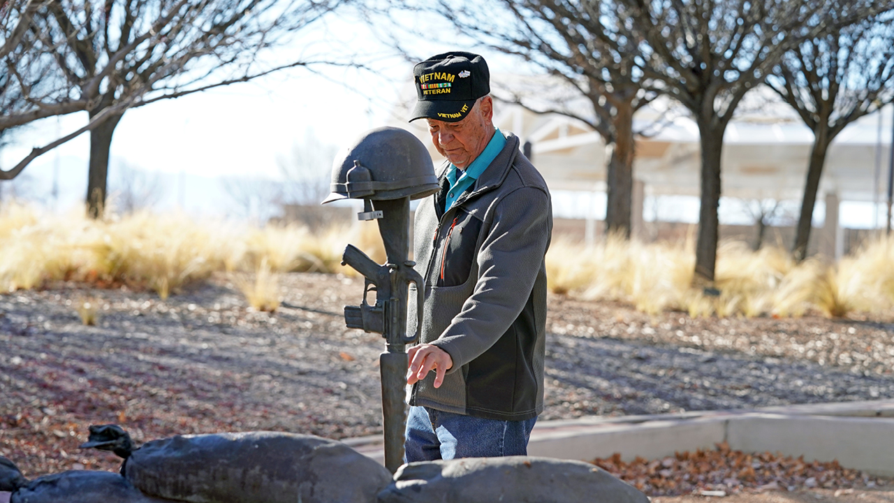 Unseen Battles: Mental Health Journeys of Vietnam Veterans